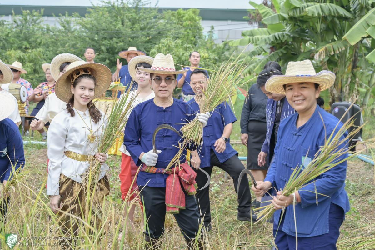โรงเรียนเพชรพิทยาคม จัดกิจกรรม "รวมใจเพชรพิทยา เกี่ยวข้าวศรัทธา พอเพียง" สืบสานภูมิปัญญาและวิถีชีวิตชาวนาไทย