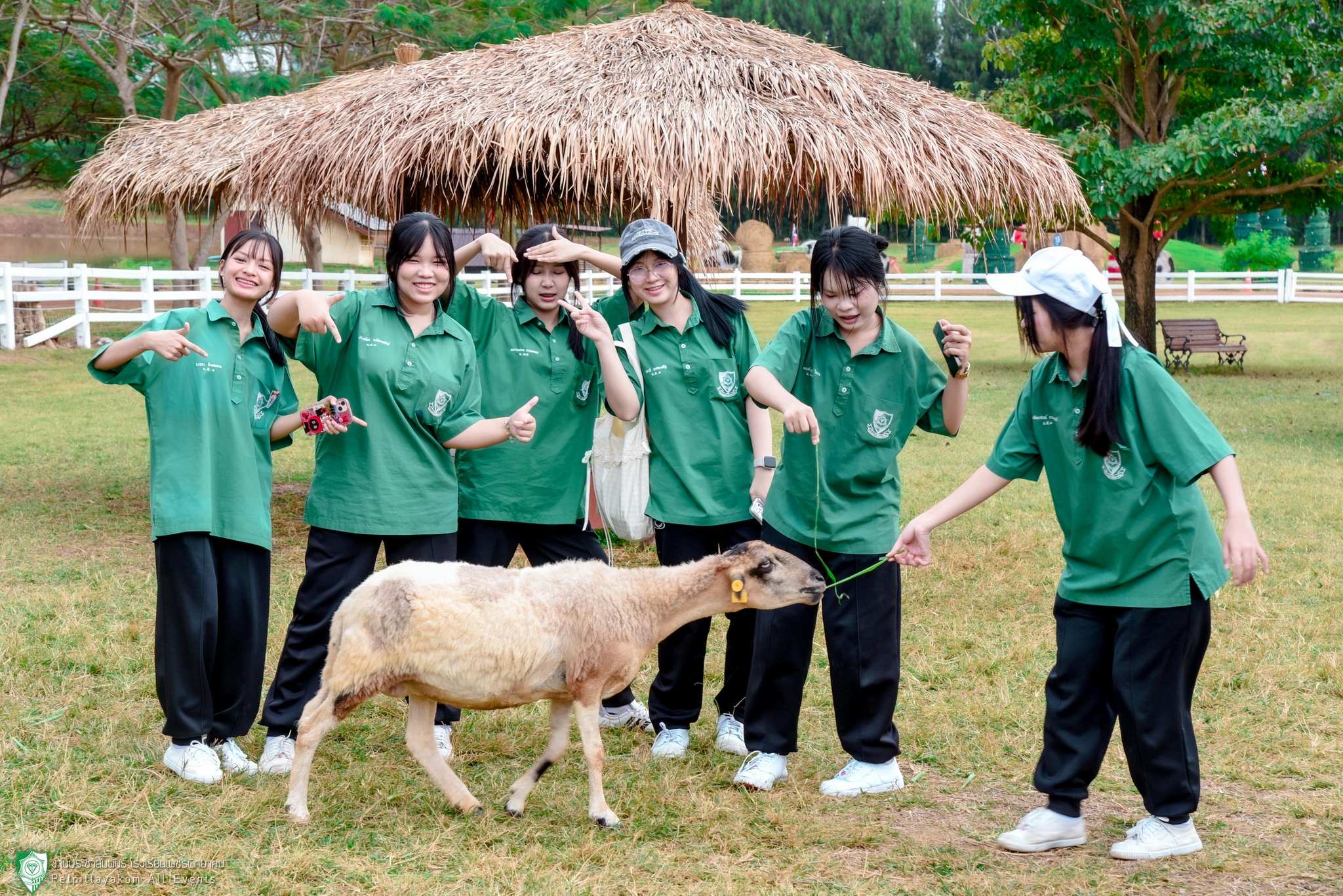 การเรียนรู้ตามฐานกิจกรรมต่างๆ