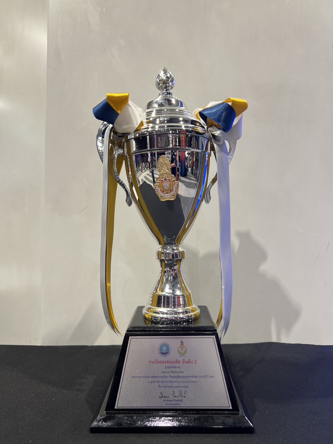 ภาพการแข่งขัน